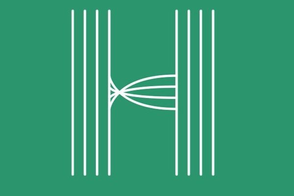 Kraken online