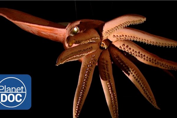 Кракен вывод средств